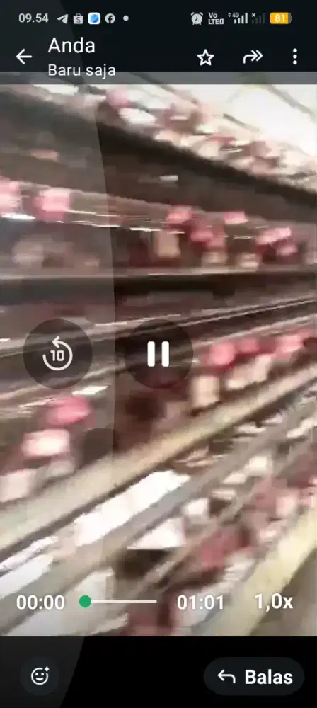 Peluang 2 tahun balik