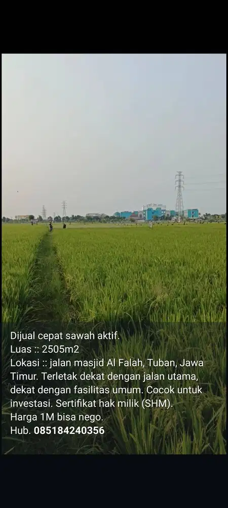 Dijual sawah produktif