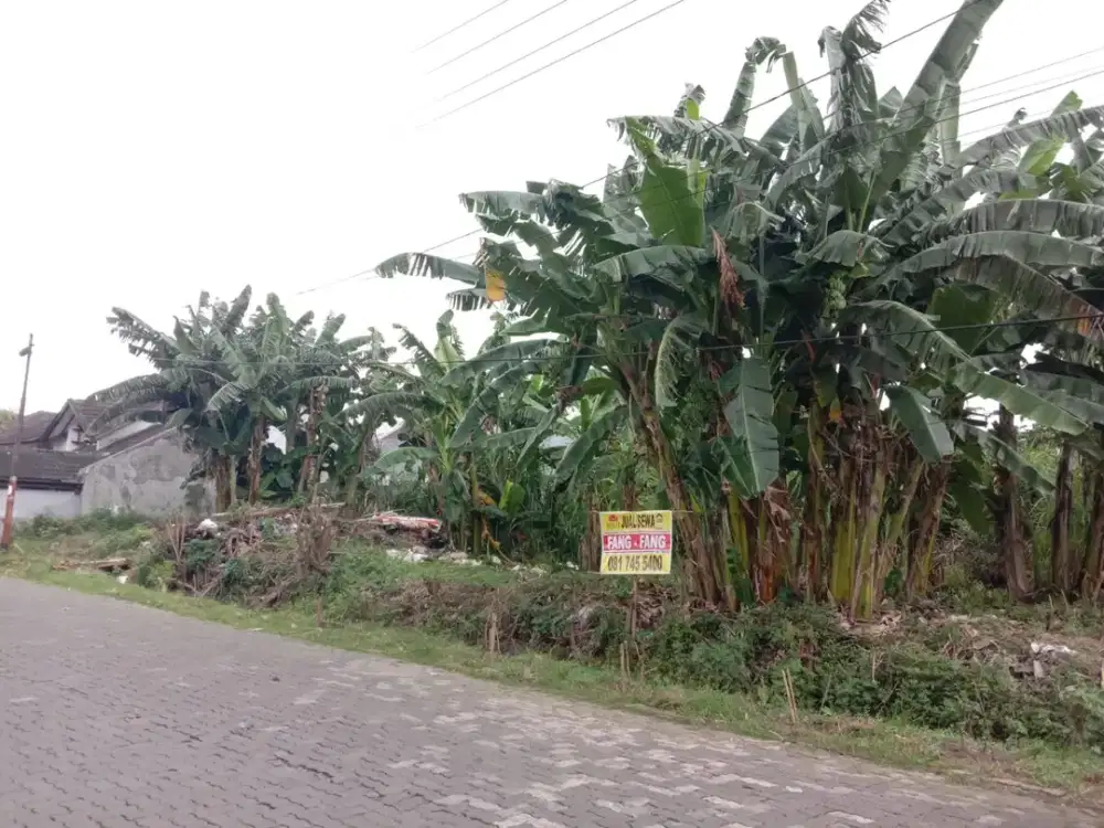 Disewakan Tanah Luas Lokasi Komplek Puri Anjasmoro Semarang