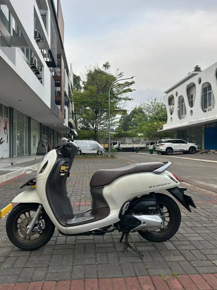 HONDA SCOOPY PRESTIGE 2024 GRESS