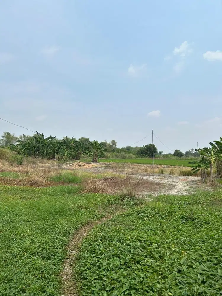 Dijual Cepat BU Tanah uk 4000 Meter Murah Daerah Strategis Gresik