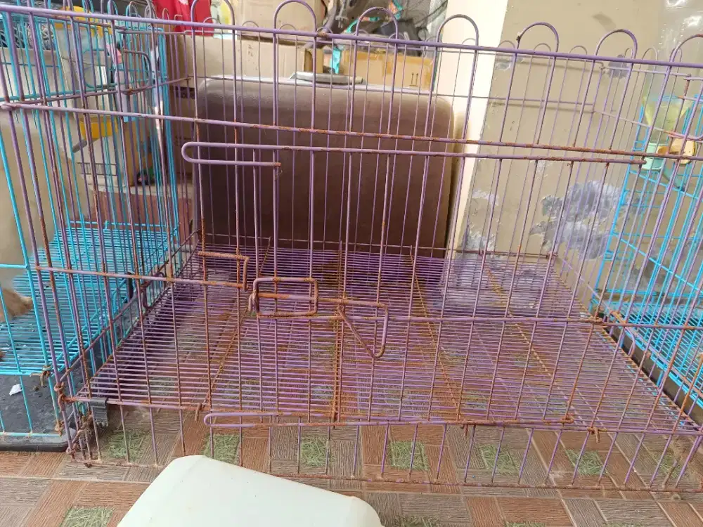 Kandang octagon A300 Opencup ukuran 90cm