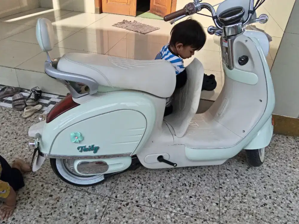 dijual cepat sepeda listrik uwinfly TAILG GR 51 putih hijau