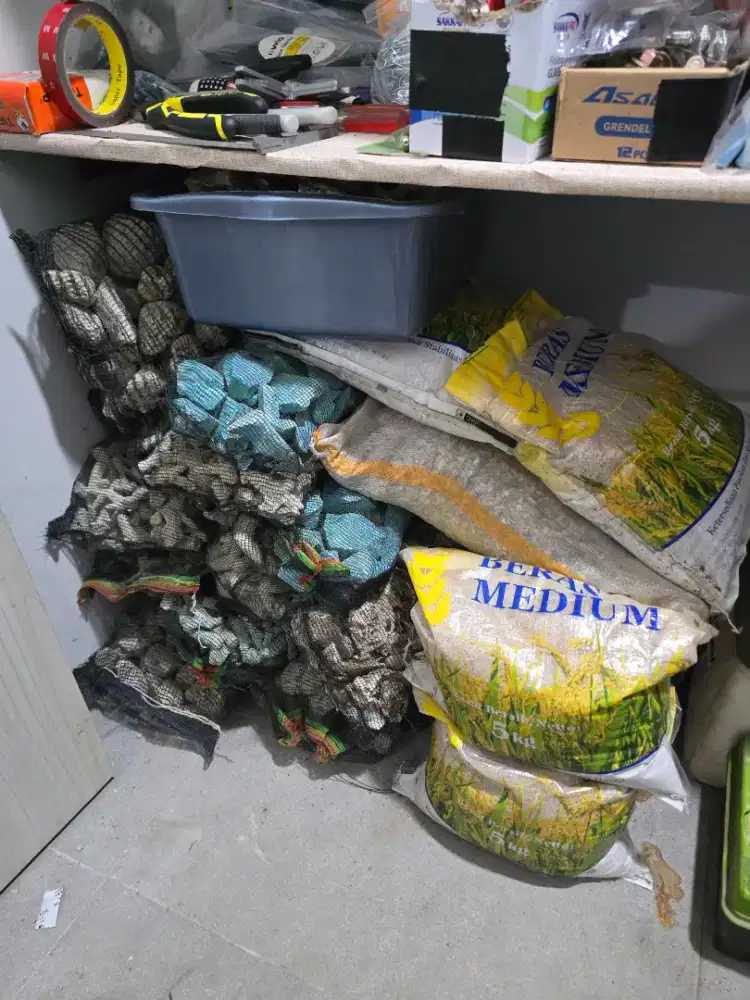 Media kolam koi aquarium