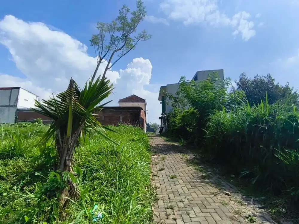 Tanah Luas Dekat Unibraw Malang Hanya 200 Juta an bisa Angsur