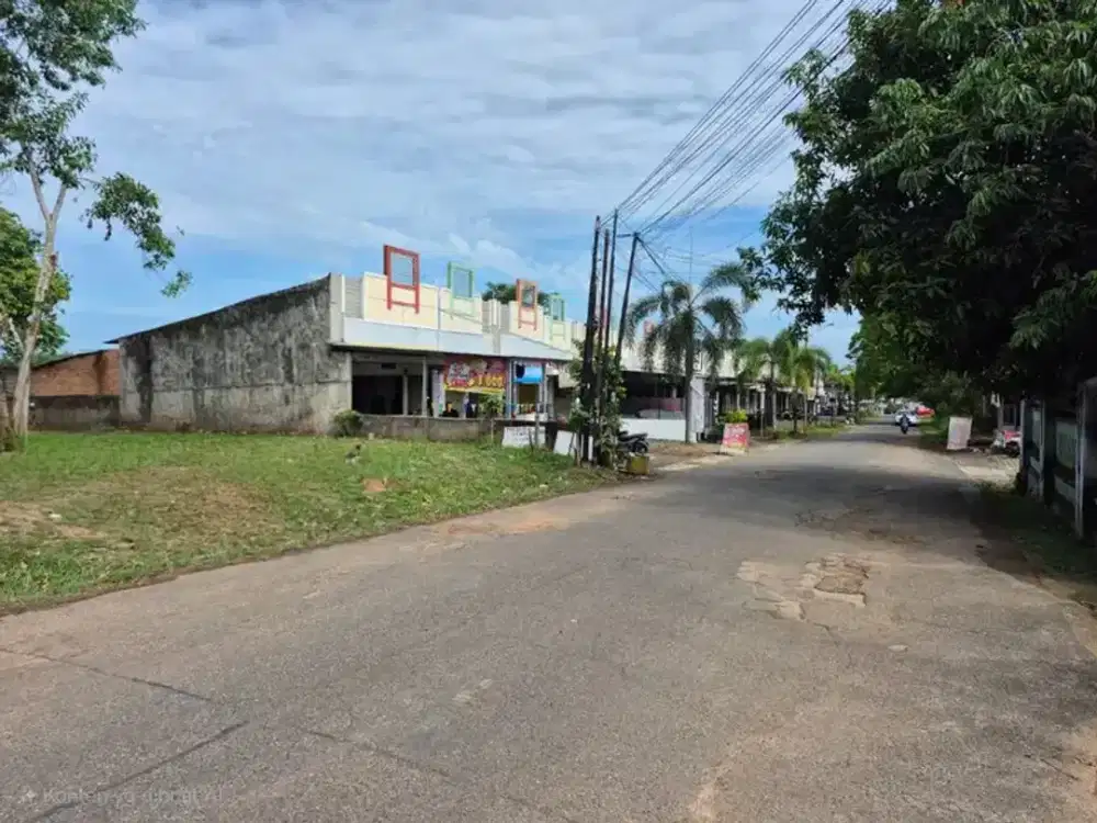 Tanah Murah Tepi AS Mayang Kebun Daging