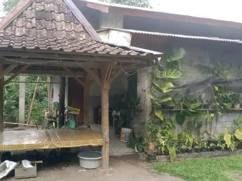 DIJUAL TANAH PEKARANGAN BONUS RUMAH DI TURI SLEMAN