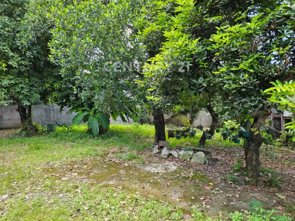 Dijual Tanah Di Jalan Raya Cipayung Jakarta Timur