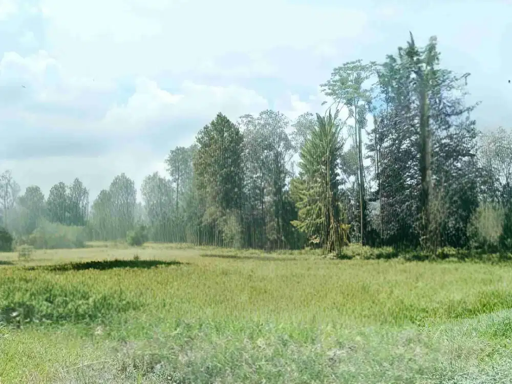 Tanah Murah Turen Poros Talangsuko