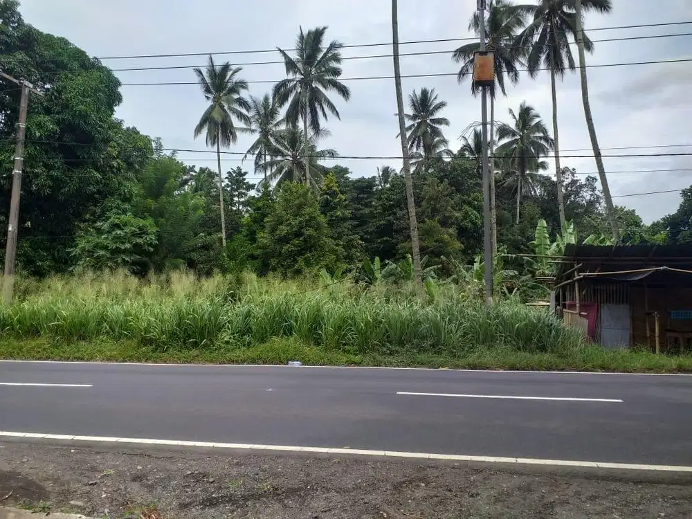 Dijual Tanah 3000meter, pinggir jalan raya bypass, cocok untuk gudang