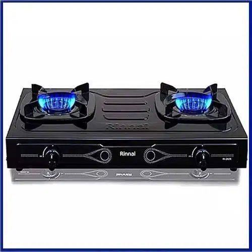 Kompor Gas Rinnai 2 Tungku RI-202S