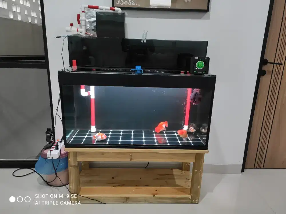 Aquarium 100 x 40 x 50 Fullset