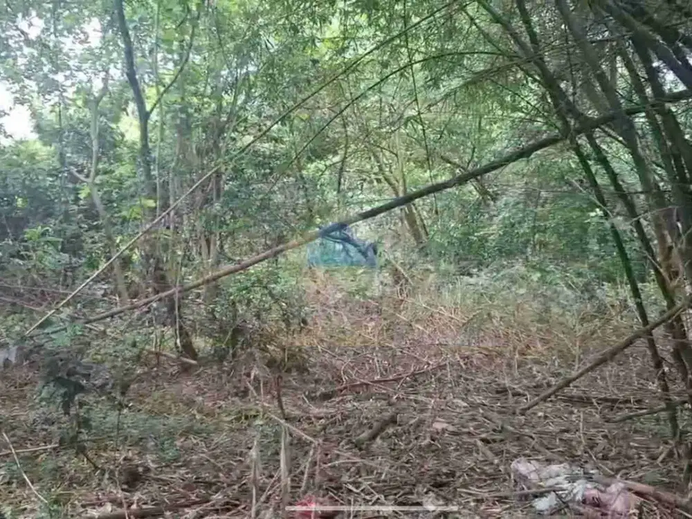 TANAH STRATEGIS SAMPING TOL LEGOK! Dijual Tanah Murah Di Legok, Tangerang