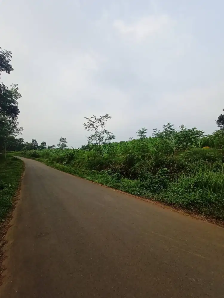 Jual Tanah Cileles (tanpa perantara) strategis