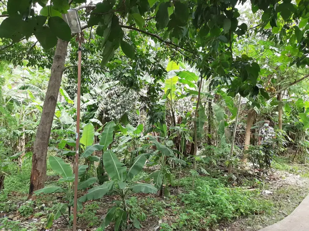 Tanah di Jatikramat Jati Bening Bekasi