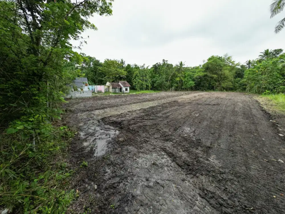 Tanah  Murah di Bangunjiwo Dekat Kampus UMY Jogja