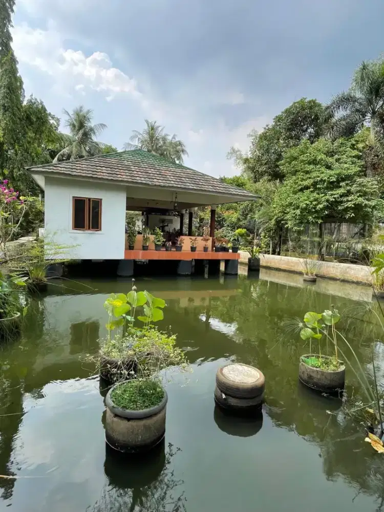 Dijual Tanah Empang ada 4 Rumah & 9 Kolam Empang