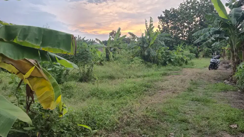 DI JUAL TANAH LOKASI DEKAT LAPANGAN KEMBANGARUM KEC MRANGGEN