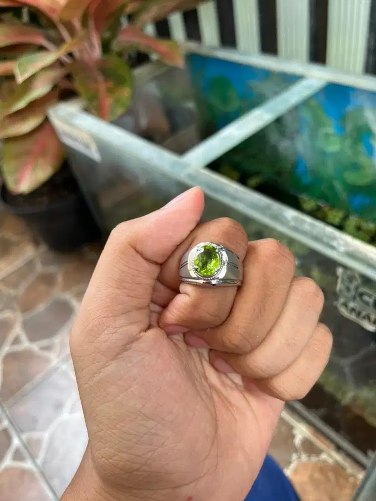 Chrome Monel Peridot