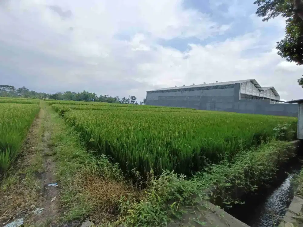 Tanah Pakisaji Poros Jalan Provinsi Areal Industri