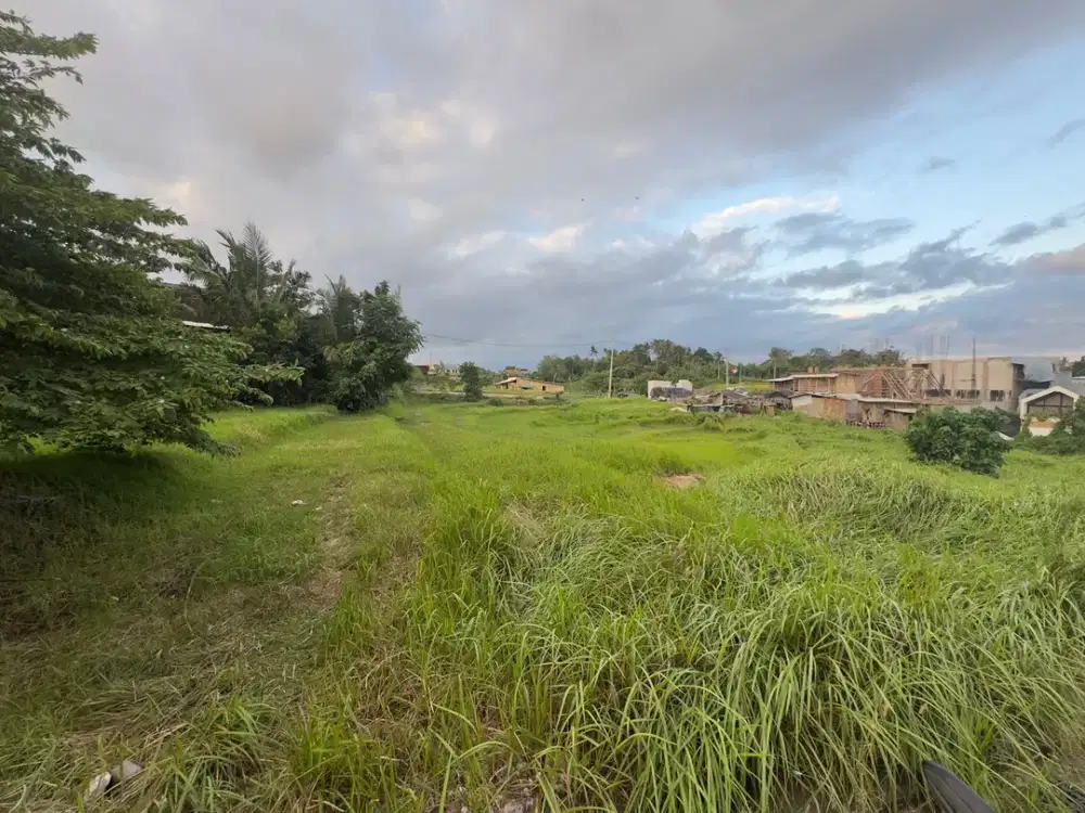 Prime Land For Sale in Nyanyi, Tabanan