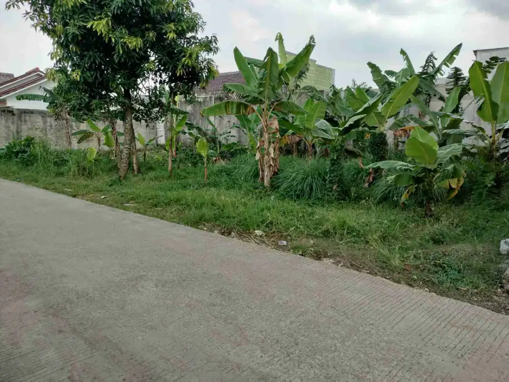 Tanah darat bagus murah Pedurenan Pabuaran Cibinong
