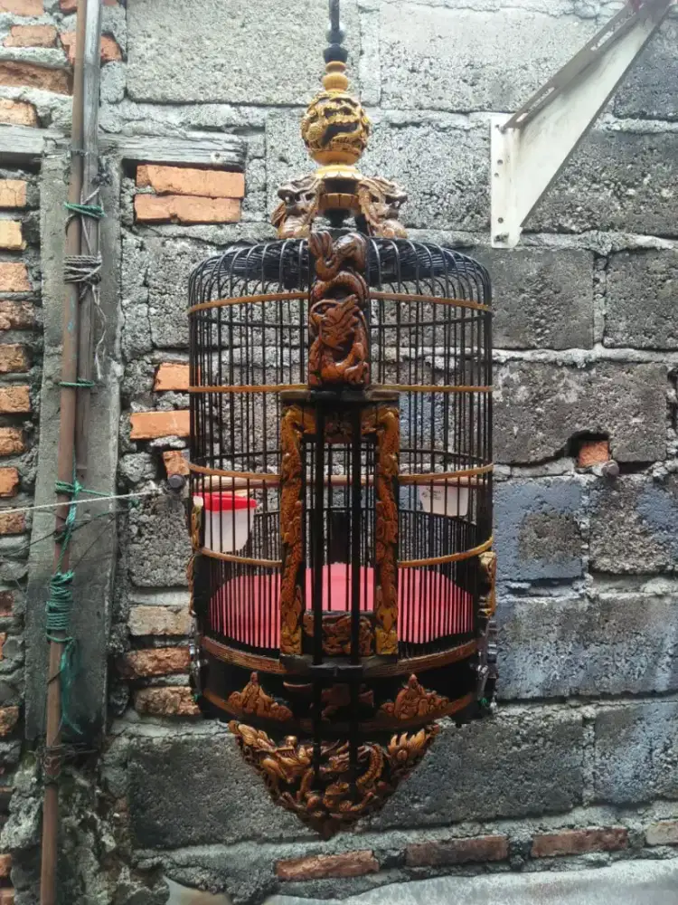 Sangkar kandang Anis