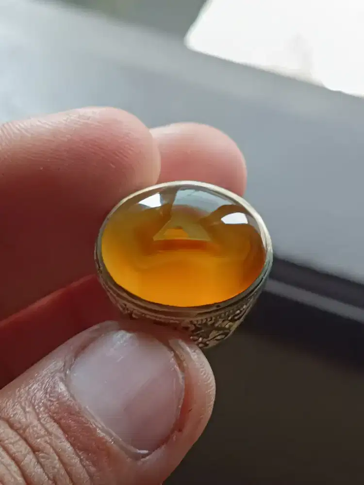 Natural motif kantong semar