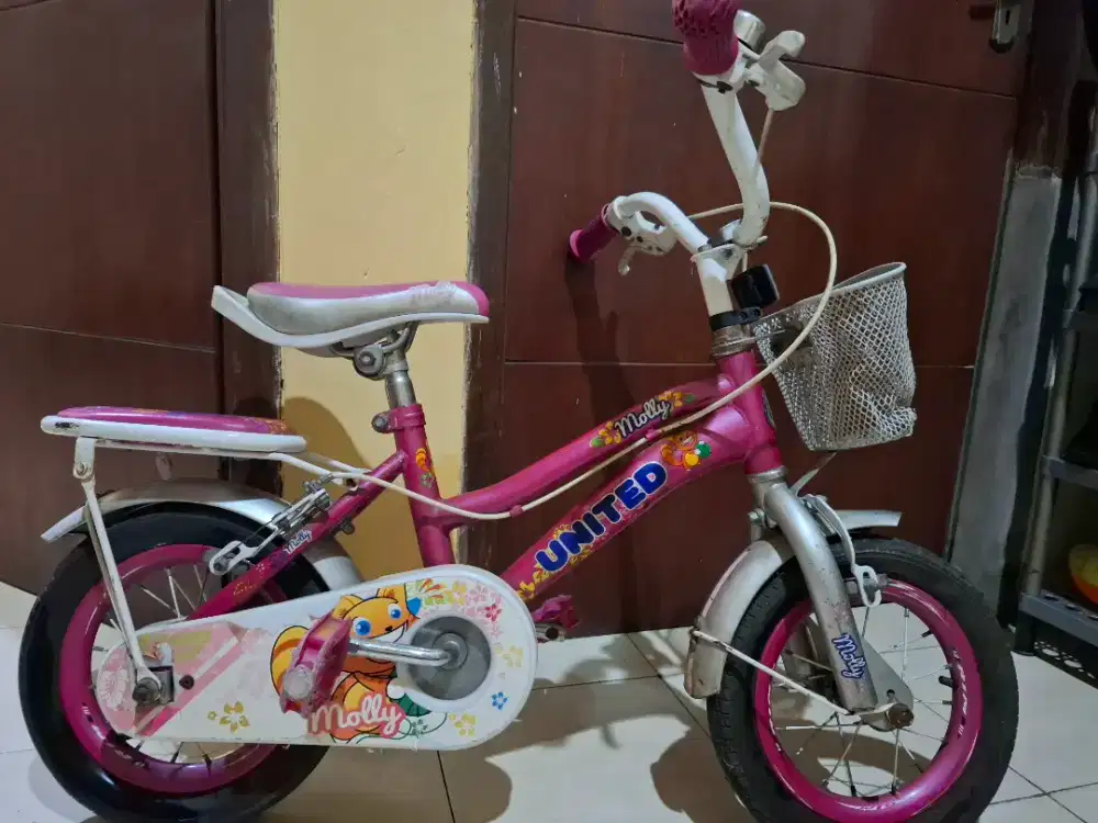 Sepeda kecil pink molly
