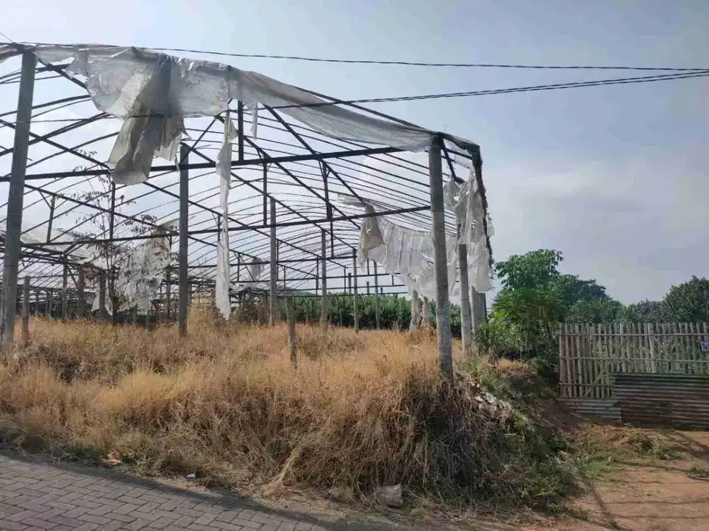 Tanah luas cocok untuk perkebunan dan Investasi di Kota Batu