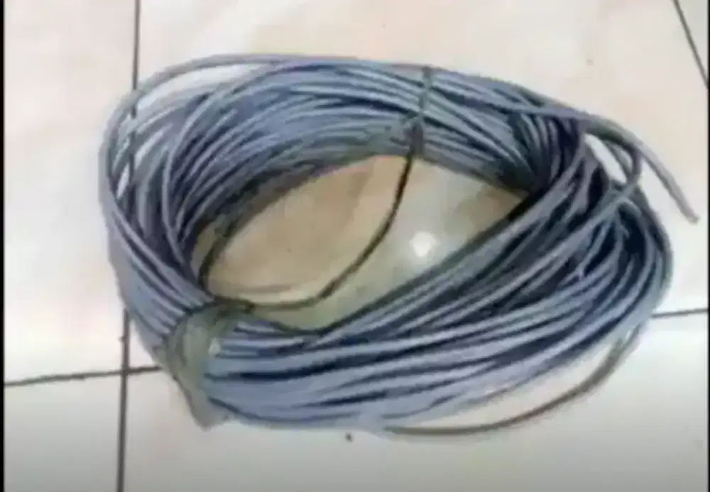 31 Meter Kabel Internet Cat5 Original Belden USA