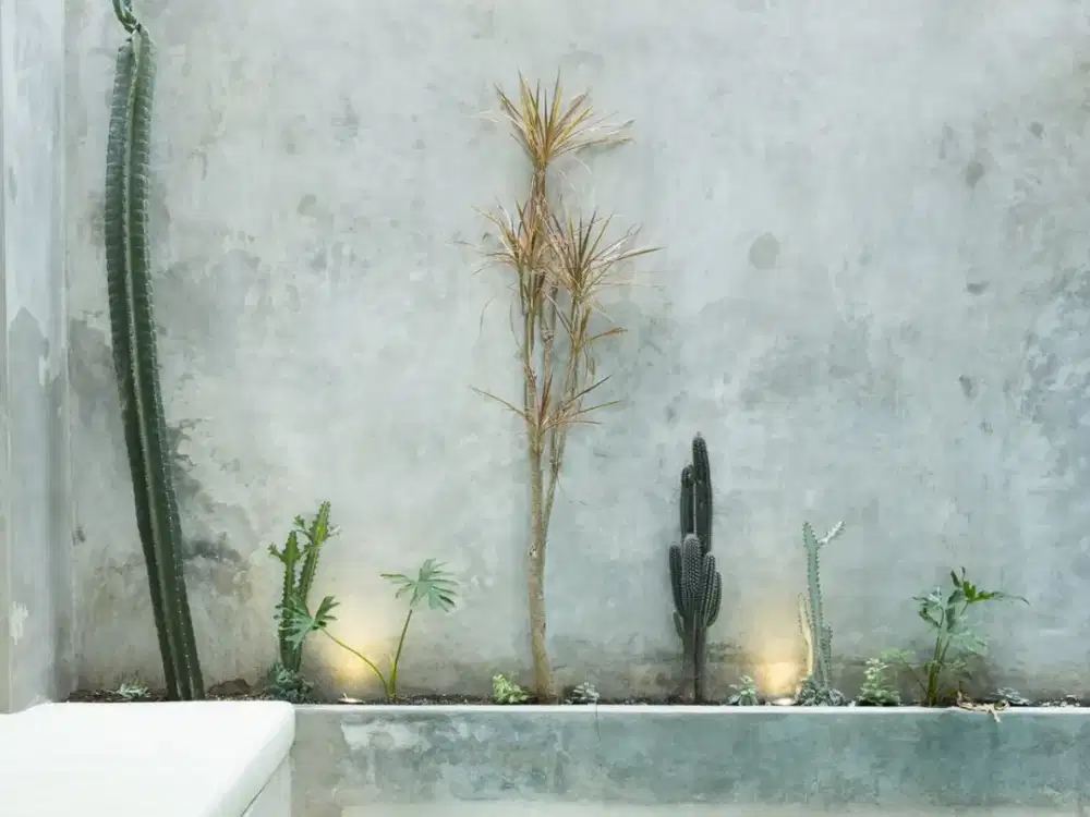 Leasehold - Modern Minimalist Villa with Rice Field Views, Minutes from Berawa Beach