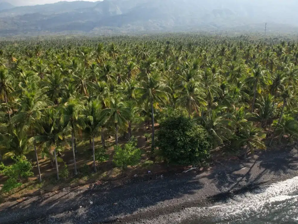 Leasehold - Exclusive Beachfront Land in Tejakula, Buleleng