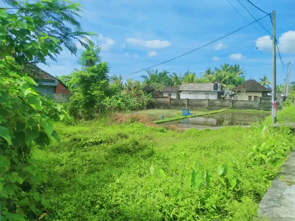 Scenic 2 Are Leasehold Land in Ubud with Rice Field View