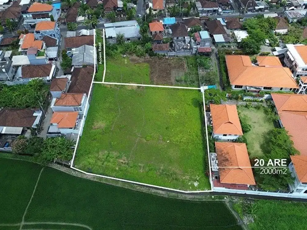 Leasehold - Tranquil 2000 sqm Leasehold Land with Rice Field View in Babakan, Canggu