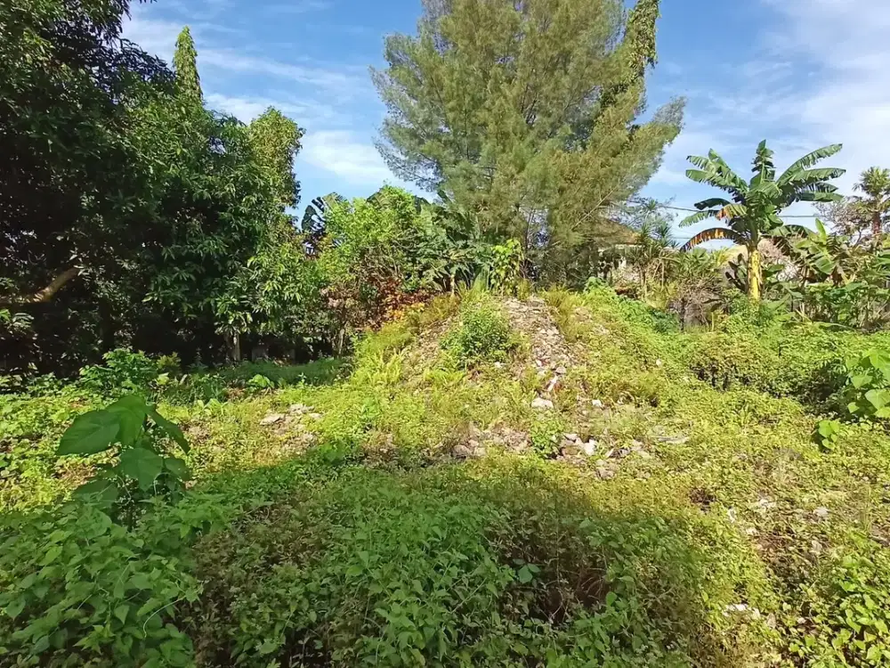 Freehold - Riverside Land for Sale in Prime Canggu, Bali Location