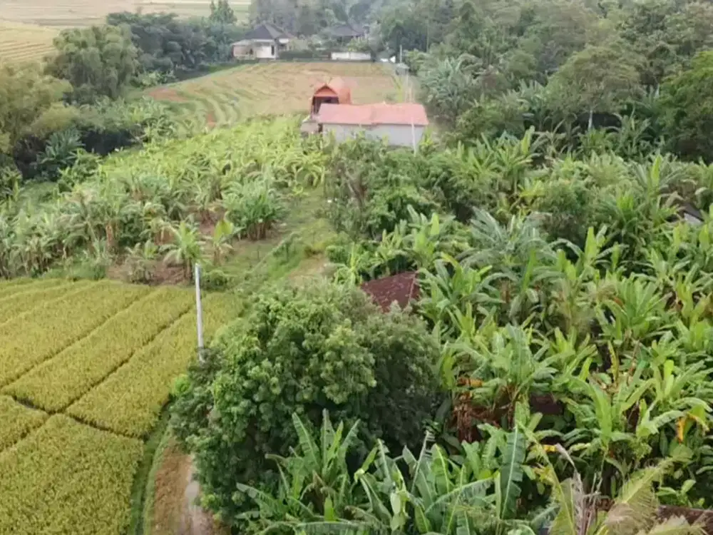 Leasehold - Exclusive Land in Yeh Gangga, Tabanan, Bali - Close to the Beach