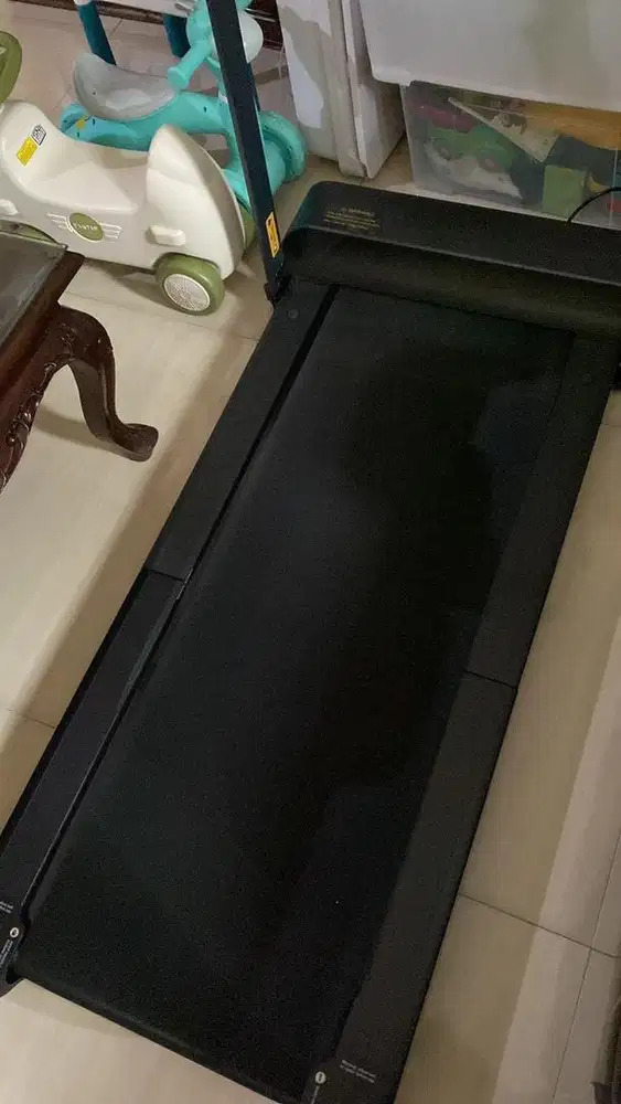 Kingsmith Walkingpad R1 PRO 2 in 1 Foldable Gym Fitness Treadmill