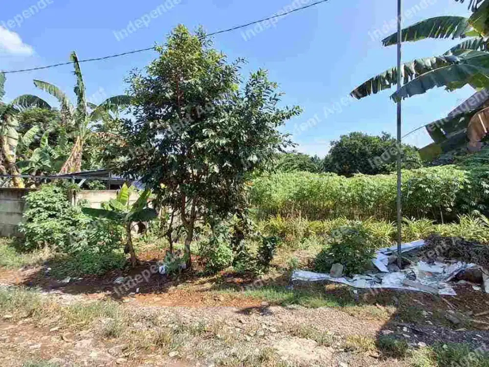 Tanah Darat di Leuwinanggung Tapos Depok