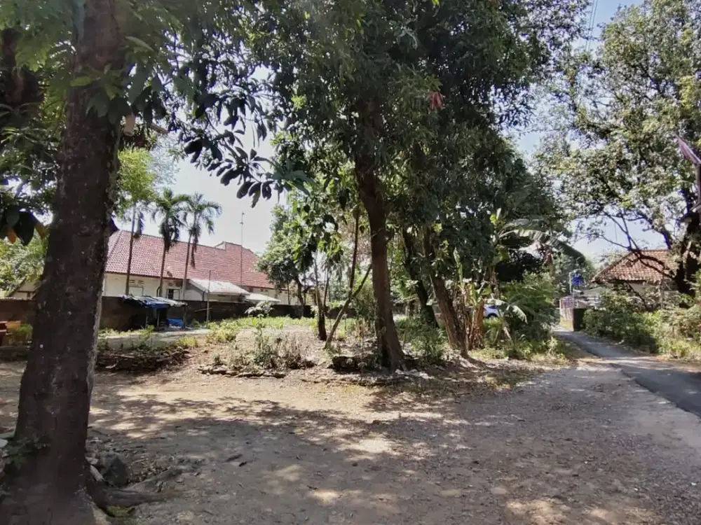 Dijual Tanah Padat Akses Mobil Jatiwangi Majalengka