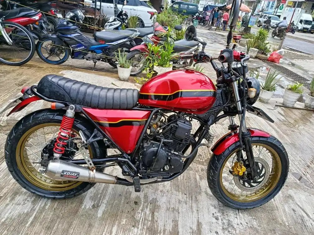 Yamaha Scorpio Castem muluss