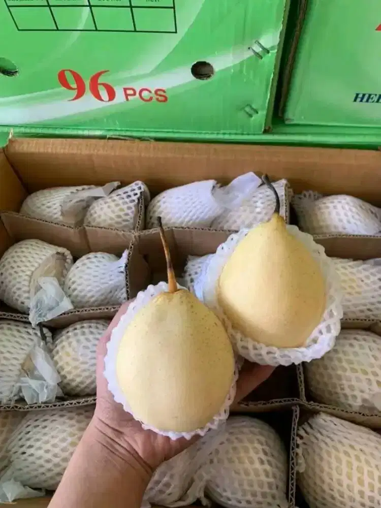 Buah pier rasa yang manis dan segar