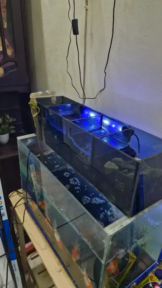 DIJUAL AQUARIUM + PERLENGKAPANNYA