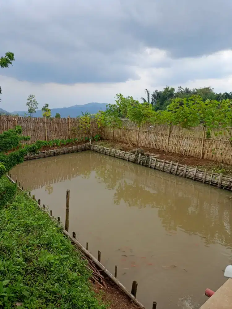 Jual Tanah Plus kolam ikan akses mobil area ciwidey