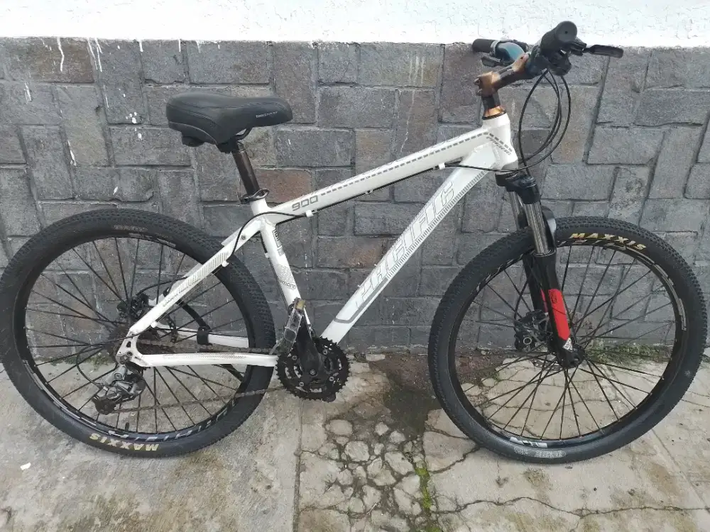 Sepeda mtb Pacific tranzline 900