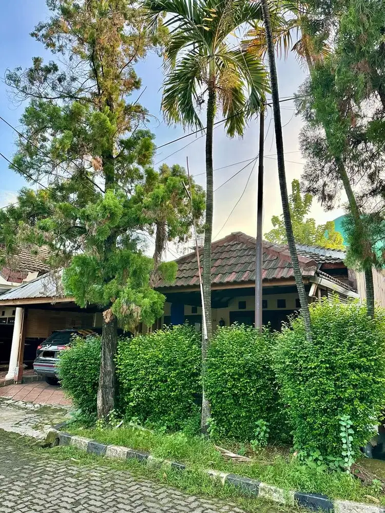 Disewakan Rumah Asri Cinere