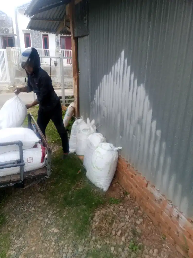 Pupuk serbuk kelapa .