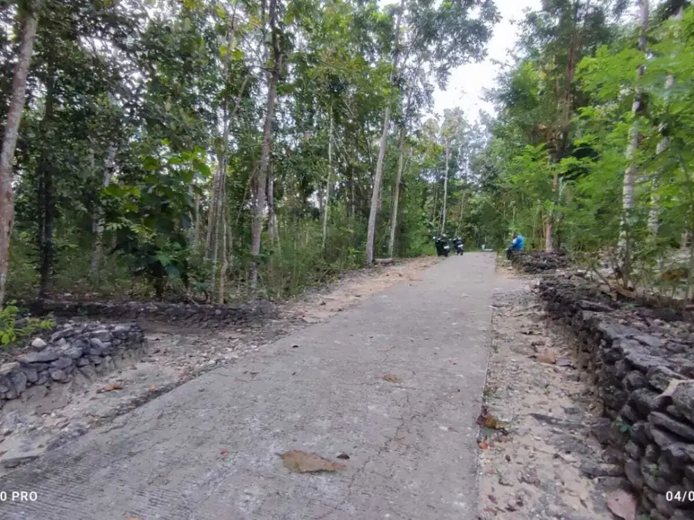 Tanah Murah Dijual Lingkungan Perumahan dan Pemukiman Sedayu Bantul