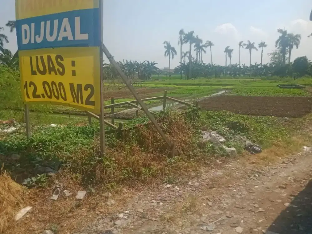 Tanah Kavling 1,2 Ha di Alas Tua Semanan Cengkareng Jakarta barat