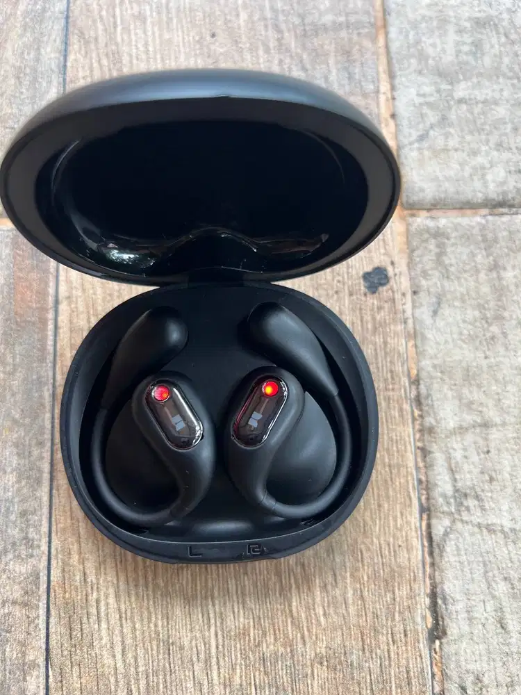Earphone monster